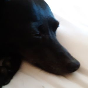 Meet your Posher, Jack